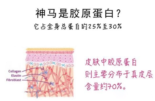 微信图片_20180803101711.jpg